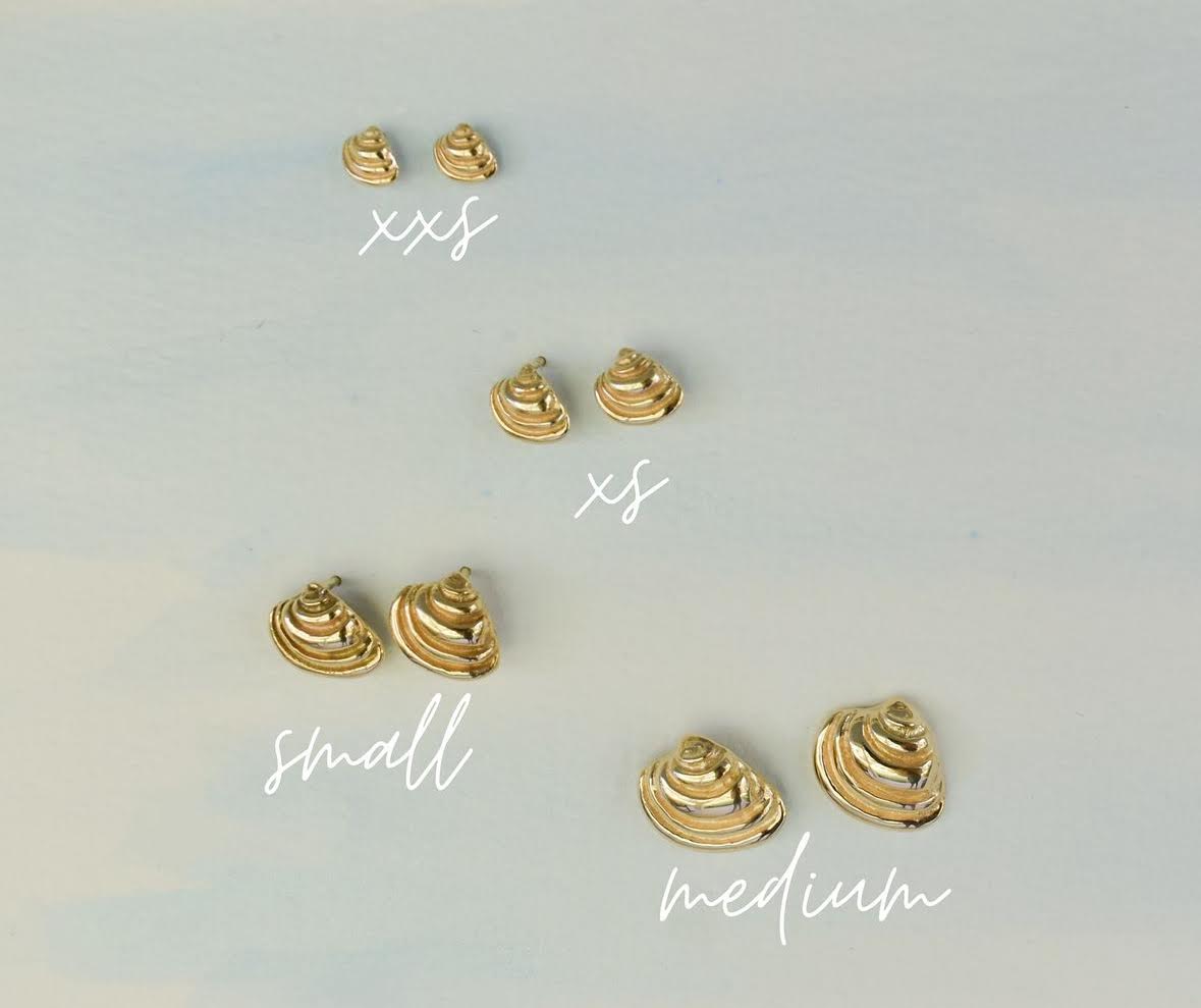 Pawleys Island Shell Stud Earrings - 14k Yellow Gold