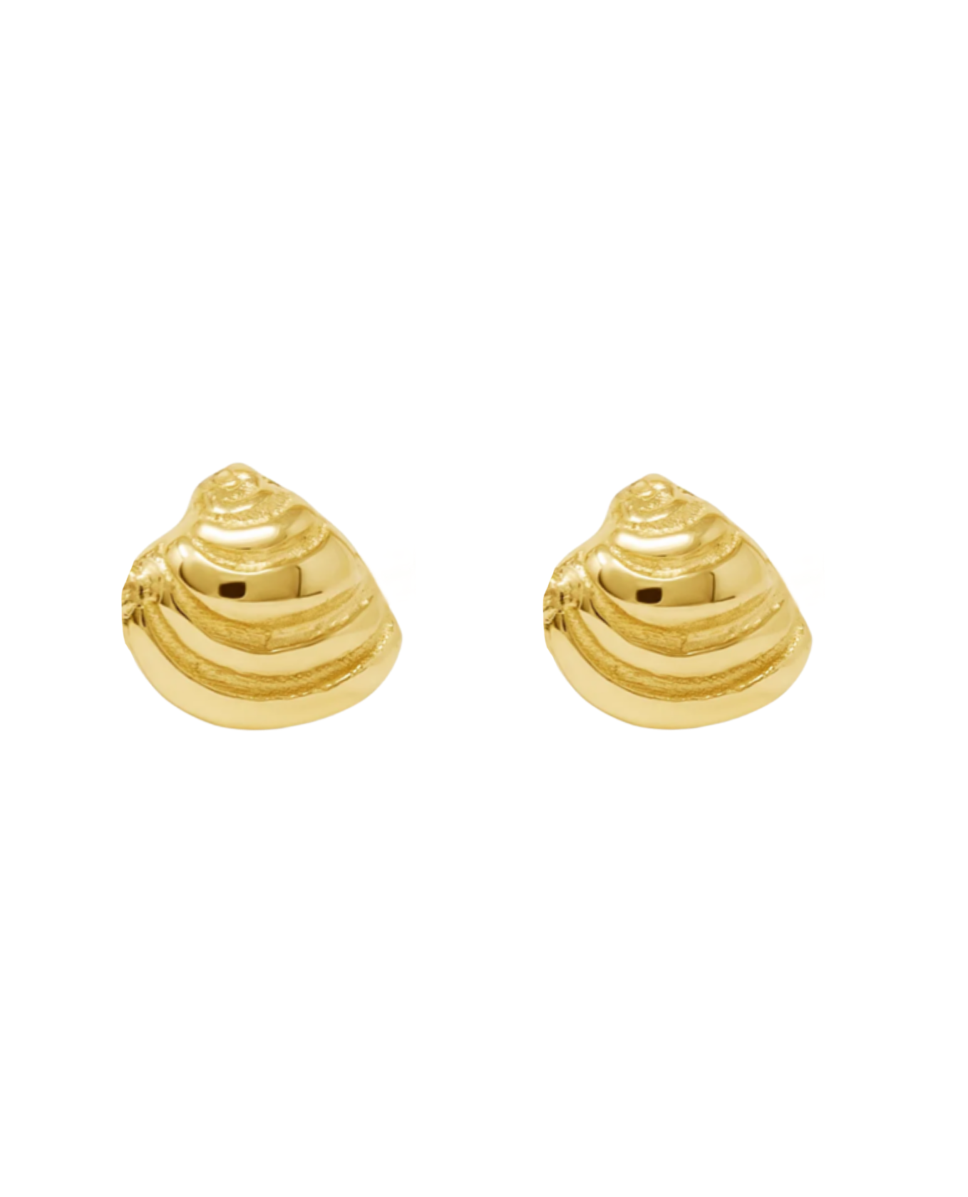Pawleys Island Shell Stud Earrings - 14k Yellow Gold