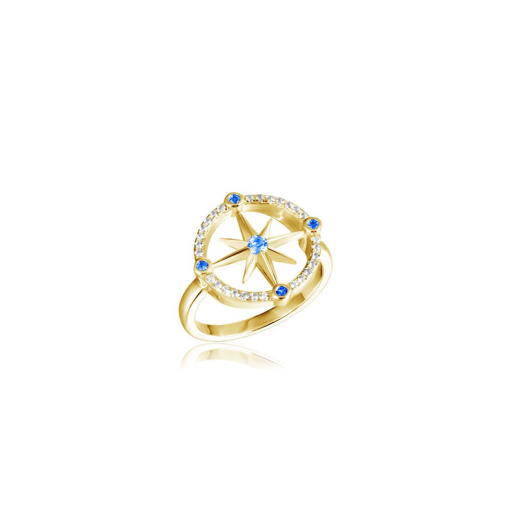 Aquamarine and Diamond Compass Ring - 14k Yellow Gold