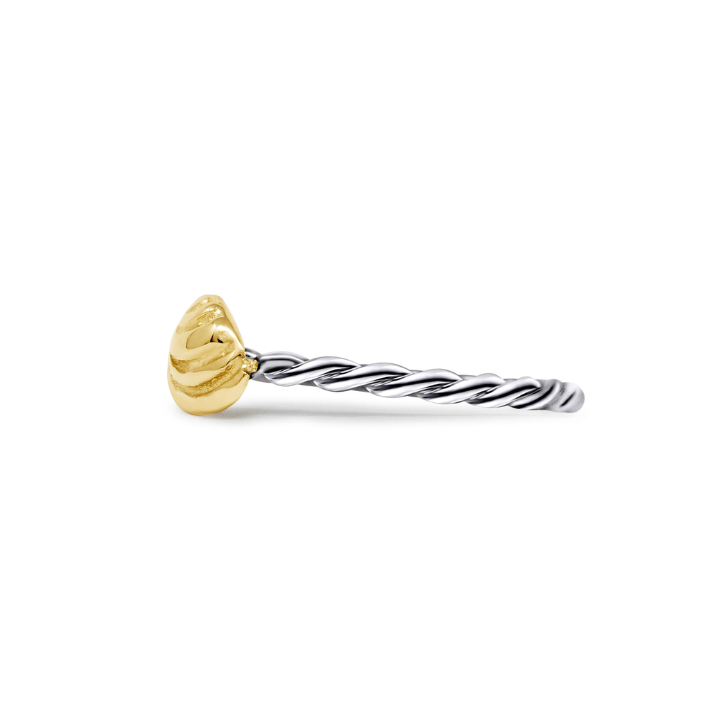 Pawleys Island Shell (XXS) Twisted Shank Ring - Two Tone