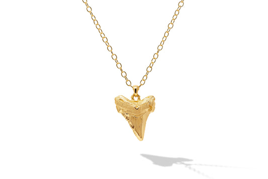 18kt Vermeil Medium Sharks Tooth 18" Necklace