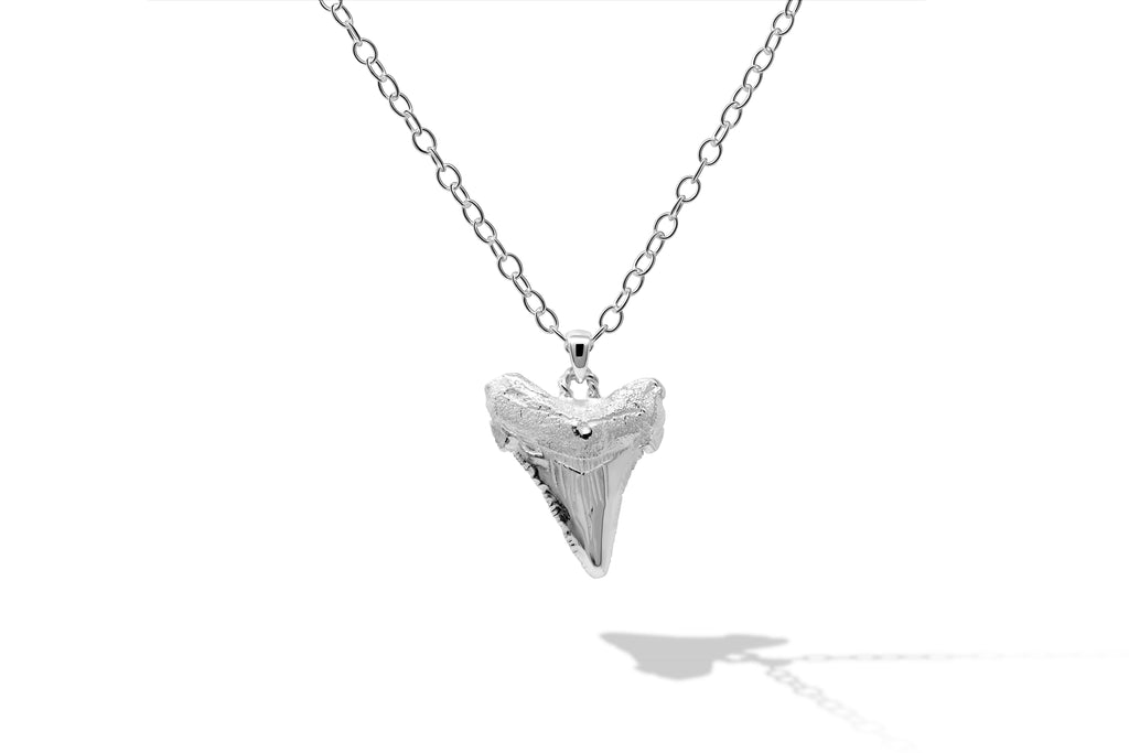 Sharks Tooth Charm (Medium) with 18" Chain - Sterling Silver