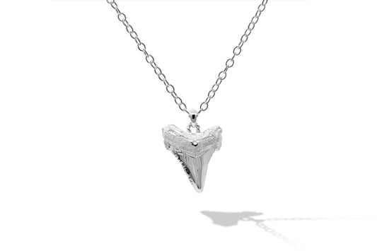 Medium Sterling Silver Sharks Tooth 18" Necklace