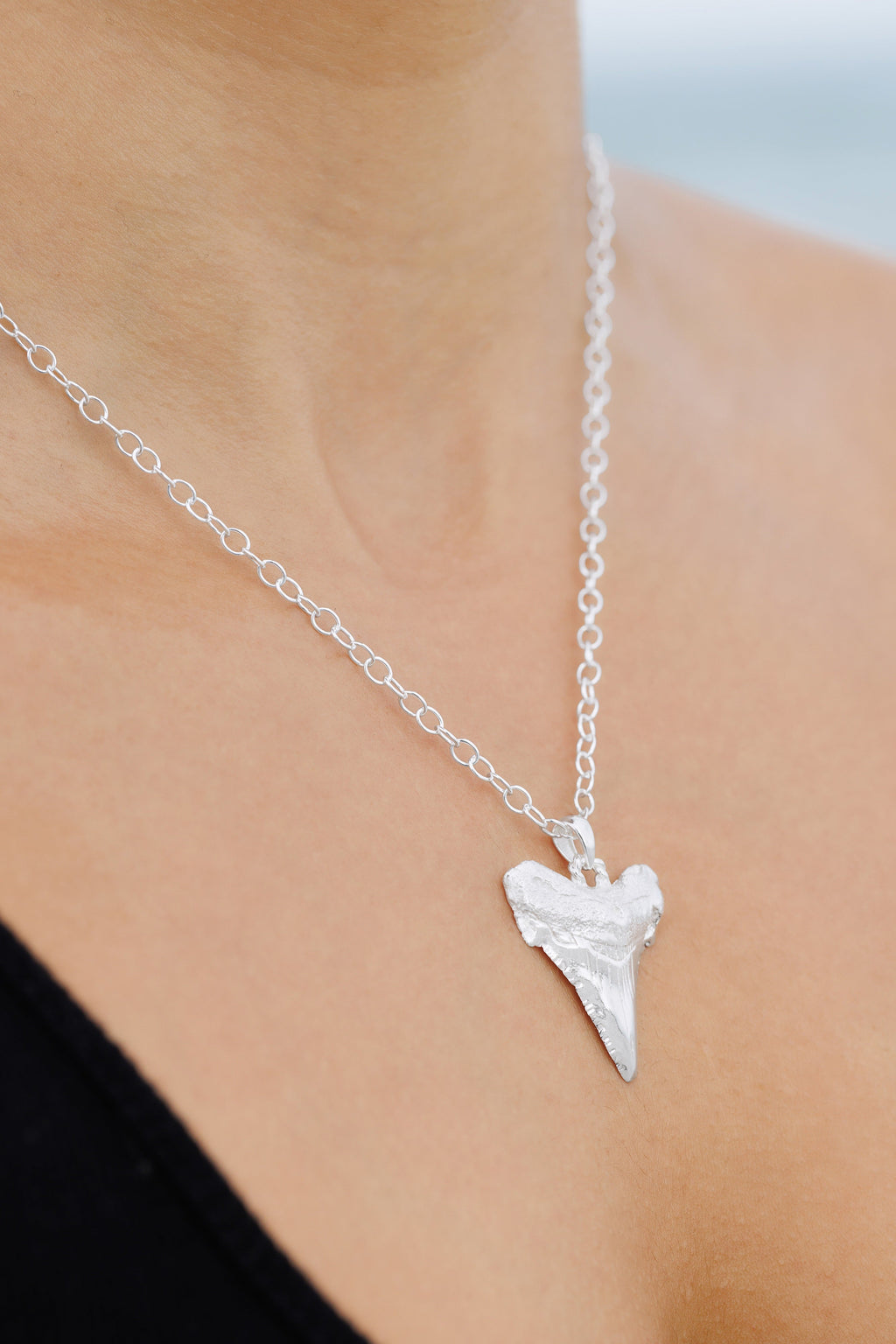 Sharks Tooth Charm (Medium) with 18" Chain - Sterling Silver