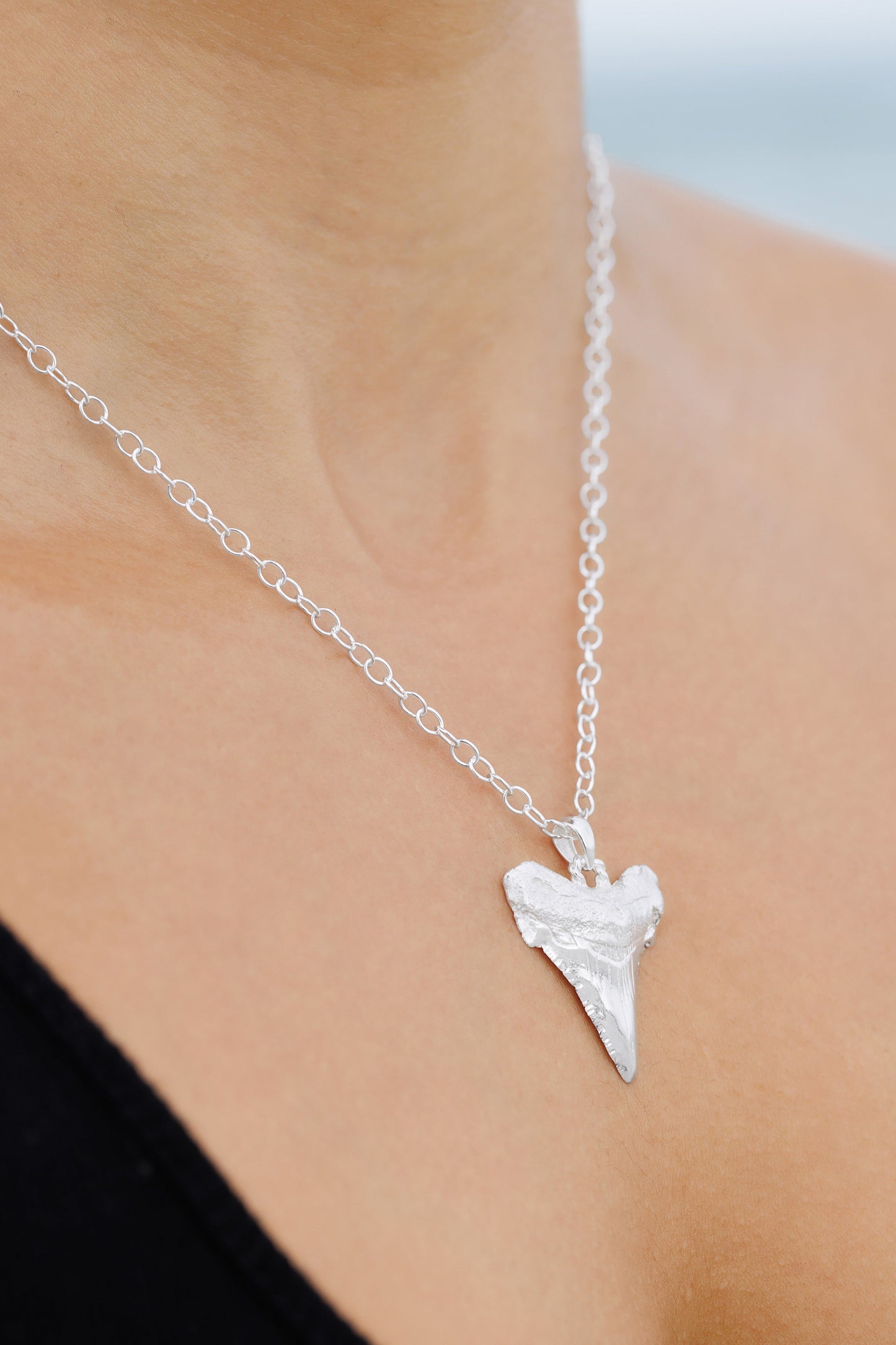 Medium Sterling Silver Sharks Tooth 18" Necklace