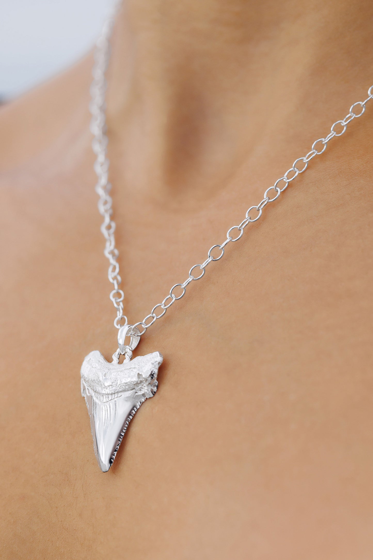 Medium Sterling Silver Sharks Tooth 18" Necklace